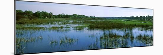 Edge of the Okavango Delta, Moremi Wildlife Reserve, Botswana-null-Mounted Photographic Print