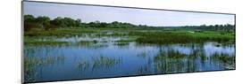 Edge of the Okavango Delta, Moremi Wildlife Reserve, Botswana-null-Mounted Photographic Print