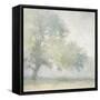 Edge of the Orchard-Julia Purinton-Framed Stretched Canvas