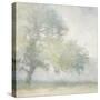 Edge of the Orchard-Julia Purinton-Stretched Canvas