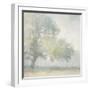 Edge of the Orchard-Julia Purinton-Framed Art Print