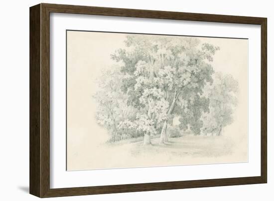 Edge of the Woods Sketch-Wild Apple Portfolio-Framed Art Print