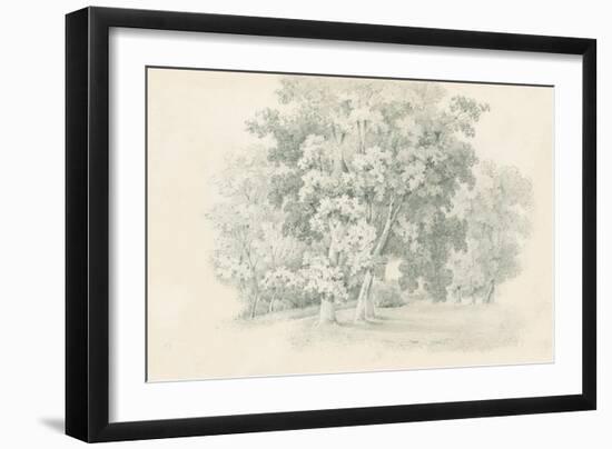 Edge of the Woods Sketch-Wild Apple Portfolio-Framed Art Print