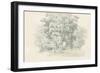 Edge of the Woods Sketch-Wild Apple Portfolio-Framed Art Print