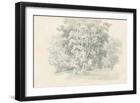 Edge of the Woods Sketch-Wild Apple Portfolio-Framed Art Print