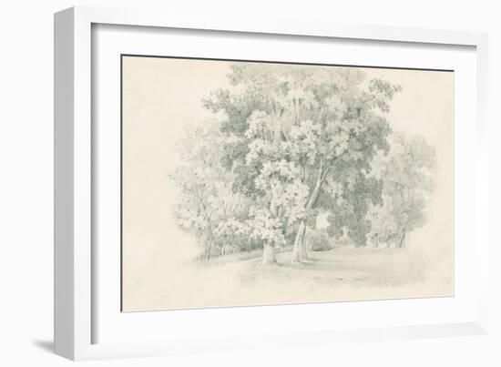 Edge of the Woods Sketch-Wild Apple Portfolio-Framed Art Print