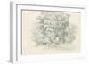 Edge of the Woods Sketch-Wild Apple Portfolio-Framed Art Print