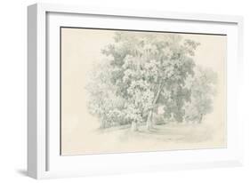 Edge of the Woods Sketch-Wild Apple Portfolio-Framed Art Print