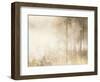 Edge of the Woods-Julia Purinton-Framed Art Print