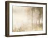 Edge of the Woods-Julia Purinton-Framed Art Print