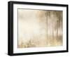 Edge of the Woods-Julia Purinton-Framed Art Print