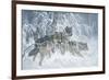 Edge of Winter (detail)-Larry Fanning-Framed Art Print