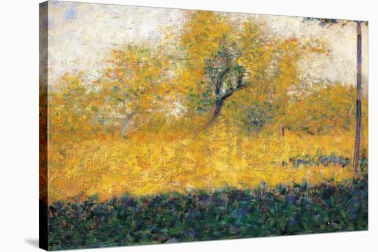 Edge of Wood-Georges Seurat-Stretched Canvas