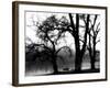 Edgebuzz-Sharon Wish-Framed Photographic Print