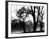 Edgebuzz-Sharon Wish-Framed Photographic Print