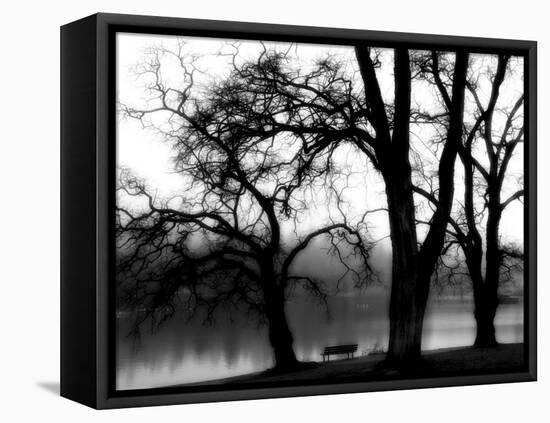 Edgebuzz-Sharon Wish-Framed Stretched Canvas