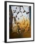 Edgefish-Craig Satterlee-Framed Photographic Print