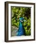 Edgelist-Tim Kahane-Framed Premium Photographic Print