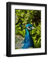 Edgelist-Tim Kahane-Framed Premium Photographic Print