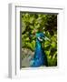 Edgelist-Tim Kahane-Framed Premium Photographic Print