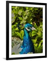 Edgelist-Tim Kahane-Framed Photographic Print