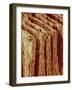 Edges of Book Pages-Micro Discovery-Framed Photographic Print