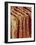 Edges of Book Pages-Micro Discovery-Framed Photographic Print