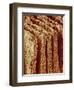 Edges of Book Pages-Micro Discovery-Framed Photographic Print