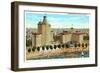 Edgewater Beach Hotel, Chicago, Illinois-null-Framed Art Print