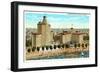 Edgewater Beach Hotel, Chicago, Illinois-null-Framed Art Print