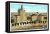 Edgewater Beach Hotel, Chicago, Illinois-null-Framed Stretched Canvas