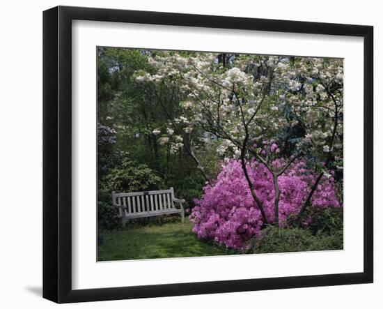 Edgewater, Maryland, USA-null-Framed Premium Photographic Print
