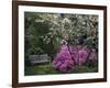 Edgewater, Maryland, USA-null-Framed Photographic Print