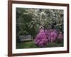 Edgewater, Maryland, USA-null-Framed Photographic Print