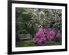 Edgewater, Maryland, USA-null-Framed Photographic Print