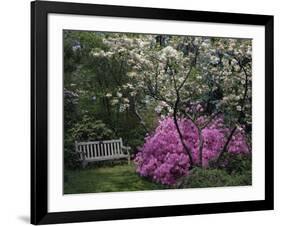 Edgewater, Maryland, USA-null-Framed Photographic Print