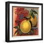 Edgewild Brand - San Dimas, California - Citrus Crate Label-Lantern Press-Framed Art Print