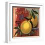 Edgewild Brand - San Dimas, California - Citrus Crate Label-Lantern Press-Framed Art Print