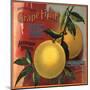 Edgewild Brand - San Dimas, California - Citrus Crate Label-Lantern Press-Mounted Art Print