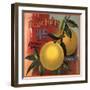 Edgewild Brand - San Dimas, California - Citrus Crate Label-Lantern Press-Framed Art Print
