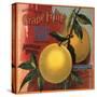 Edgewild Brand - San Dimas, California - Citrus Crate Label-Lantern Press-Stretched Canvas