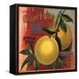 Edgewild Brand - San Dimas, California - Citrus Crate Label-Lantern Press-Framed Stretched Canvas