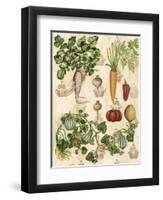 Edible Botanical I-Naomi McCavitt-Framed Art Print