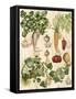 Edible Botanical I-Naomi McCavitt-Framed Stretched Canvas