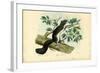 Edible Dormouse, 1863-79-Raimundo Petraroja-Framed Giclee Print