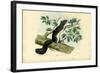 Edible Dormouse, 1863-79-Raimundo Petraroja-Framed Giclee Print