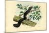 Edible Dormouse, 1863-79-Raimundo Petraroja-Mounted Giclee Print