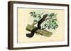 Edible Dormouse, 1863-79-Raimundo Petraroja-Framed Giclee Print