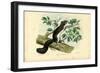 Edible Dormouse, 1863-79-Raimundo Petraroja-Framed Giclee Print