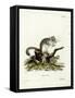 Edible Dormouse-null-Framed Stretched Canvas